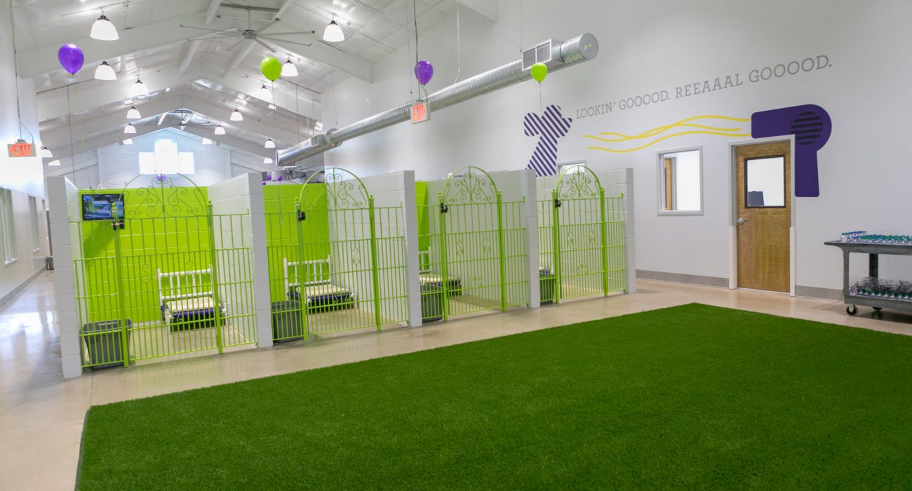 How to Choose the Right Dog Daycare